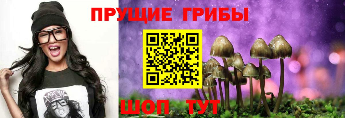 Димитровград  Галлюциногенные грибы Magic Shrooms  Вход с VPN 