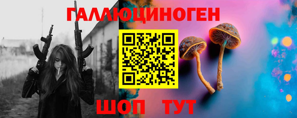 Галлюциногенные грибы Psilocybine cubensis Димитровград